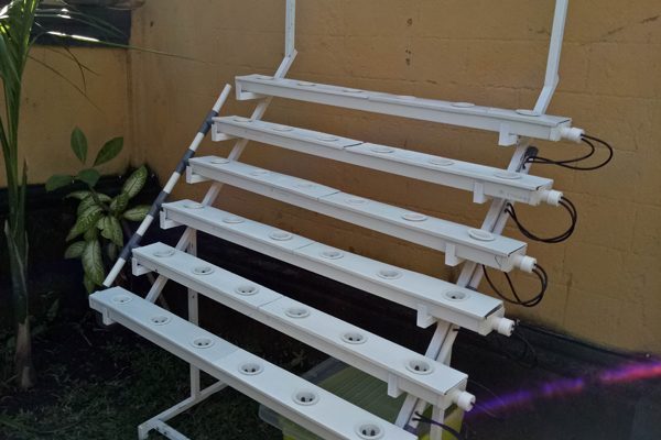 hidroponik bali sistem hidroponik nft