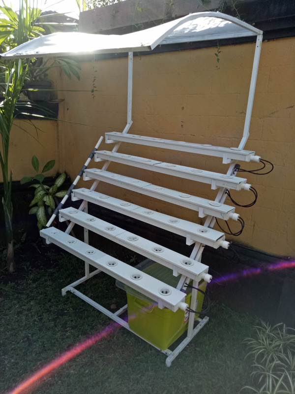 hidroponik bali sistem hidroponik nft