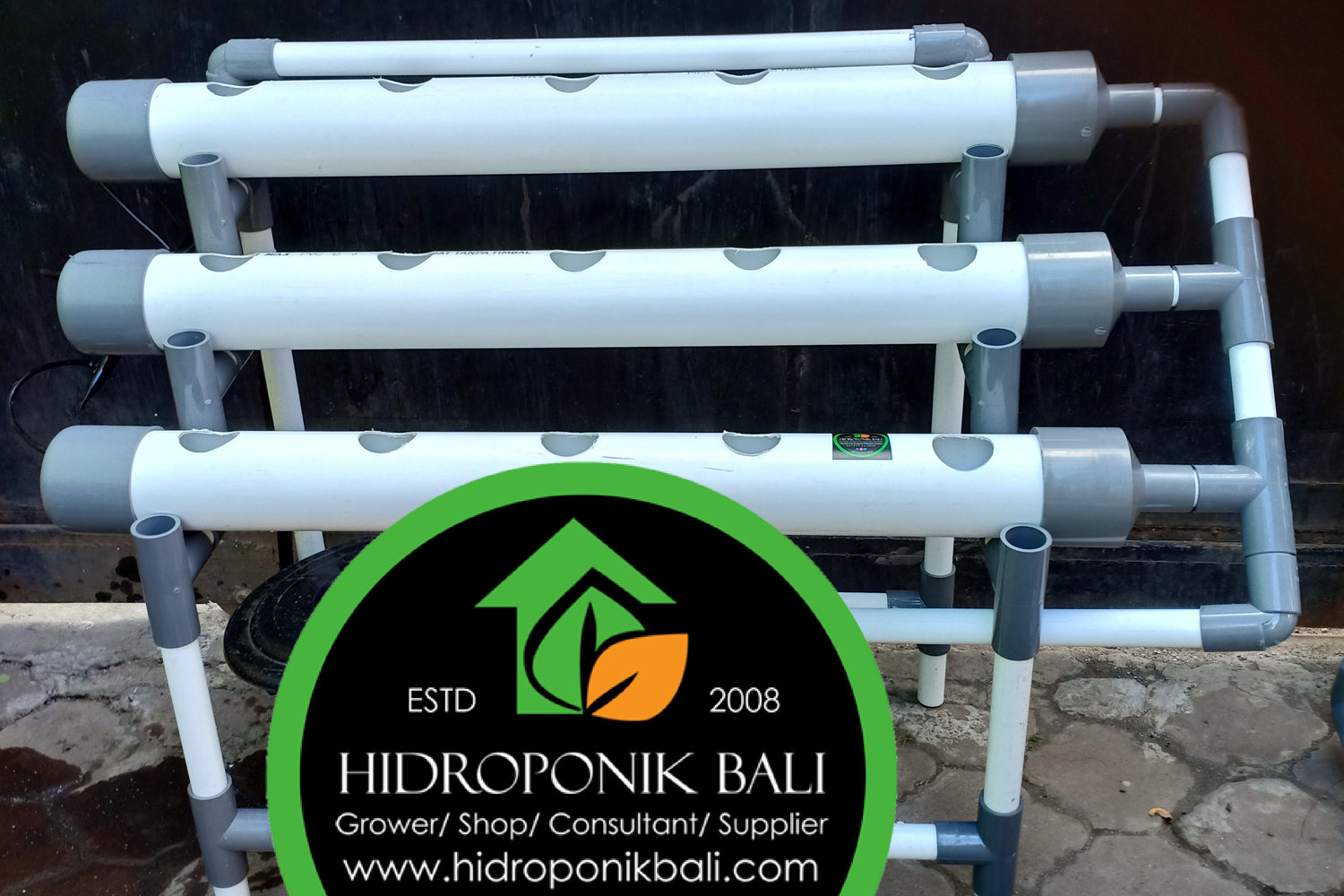 hidroponik bali sistem hidroponik pemula